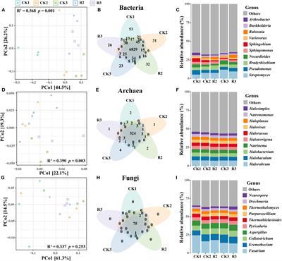 Metagenomic insights into the response of soil microbial communities to pathogenic Ralstonia solanacearum